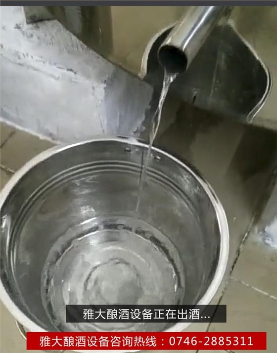 【釀酒設備】雅大釀酒設備正在出酒