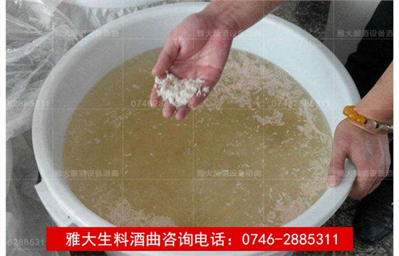 【釀酒技術】生料釀酒注意事項答疑