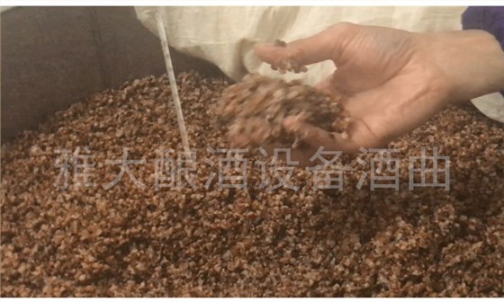 傳統(tǒng)固態(tài)釀酒|低溫蒸煮、低溫糖化發(fā)酵