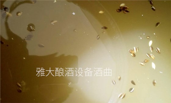 3-用雅大釀酒設備制作液態黑大麥白酒的釀造方法4