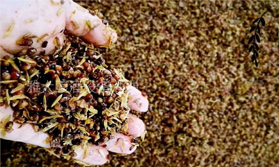 釀白酒設(shè)備做固態(tài)酒，一定要提前對輔料進(jìn)行處理