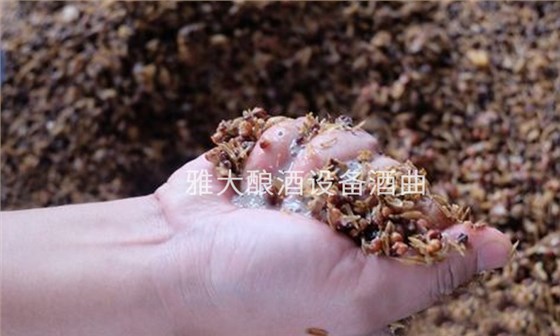 7.29 夏季做箱糖化階段和酒精發酵階段管理好,燒酒設備也能釀出好酒!5 7.29 夏季做箱糖化階段和酒精發酵階段管理好,燒酒設備也能釀出好酒!5