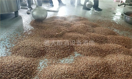 擁有10多套房產的包租婆,為何選擇用糧食釀酒設備做酒?-04 擁有10多套房產的包租婆,為何選擇用糧食釀酒設備做酒?-04