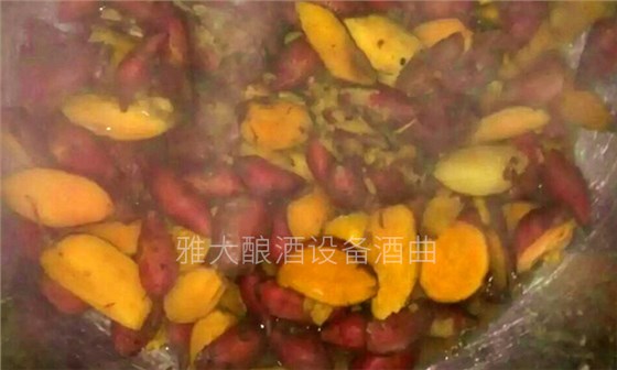 大型釀酒設備怎樣做出好喝的紅薯酒？紅薯釀酒方法！-03