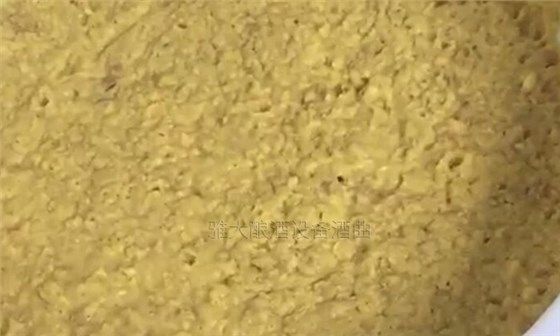 大型釀酒設備怎樣做出好喝的紅薯酒？紅薯釀酒方法！-06-紅薯釀酒發(fā)酵