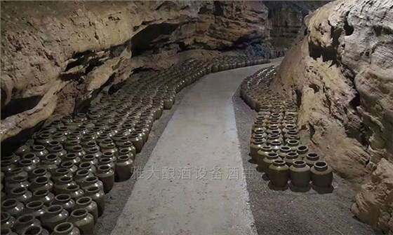 饒總用專業釀酒設備做洞藏酒,半年后洞天醇成為當地招牌旅游景點-10 饒總用專業釀酒設備做洞藏酒,半年后洞天醇成為當地招牌旅游景點-10