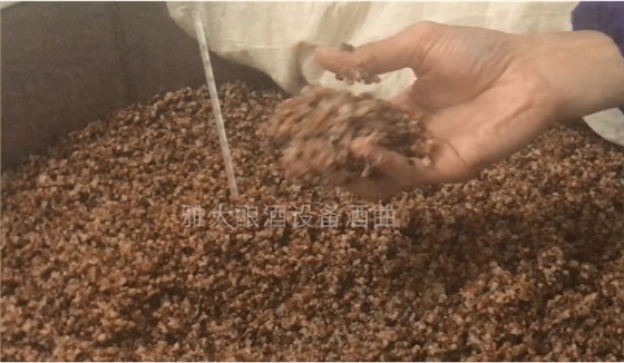 警惕!不銹鋼釀酒設備操作不當給玉米酒帶來邪雜味!-04-發酵溫度 警惕!不銹鋼釀酒設備操作不當給玉米酒帶來邪雜味!-04-發酵溫度