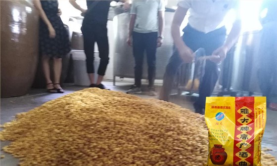 2019用小型酒廠釀酒設備開酒廠，需要做好哪些準備？-06-玉米釀酒下酒曲2