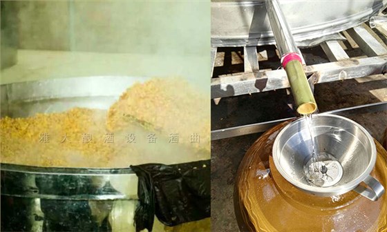 何總用全套釀酒設備做純糧酒,短短1個月就供不應求的真相是……-06-釀酒設備出酒3 何總用全套釀酒設備做純糧酒,短短1個月就供不應求的真相是……-06-釀酒設備出酒3