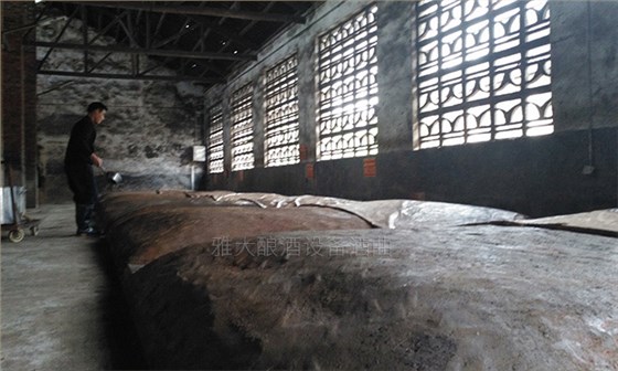11--用白酒釀酒設備釀造清香型小曲白酒才是未來發展趨勢窖池3