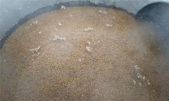 釀酒用水中帶入一些產生苦味的無機鹽 釀酒用水中帶入一些產生苦味的無機鹽