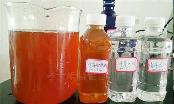 11-青梅泡酒發酵酒 11-青梅泡酒發酵酒