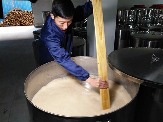 大米新工藝生料發酵中 大米新工藝生料發酵中