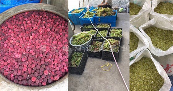 7.19-5套制酒設(shè)備,自己釀酒+上門加工相結(jié)合,生意火爆整個(gè)余姚- 7.19-5套制酒設(shè)備,自己釀酒+上門加工相結(jié)合,生意火爆整個(gè)余姚-