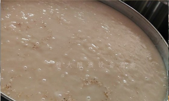 25-大米生料釀酒2 25-大米生料釀酒2