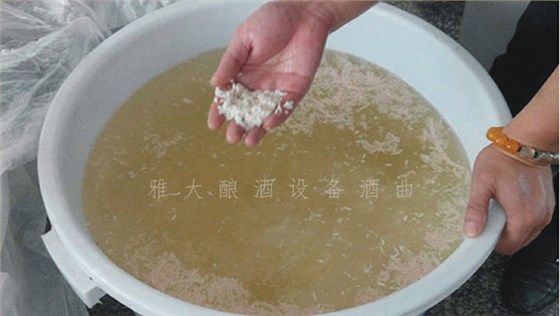25-大米生料釀酒 25-大米生料釀酒