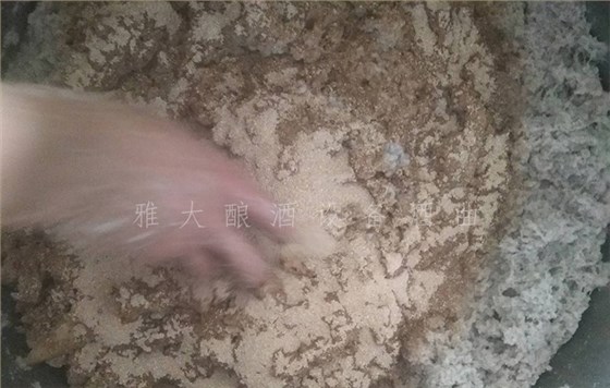 18.11-農(nóng)村又一波野果朝我們奔來,趕緊用釀酒設備白酒將它們釀成酒吧!4 18.11-農(nóng)村又一波野果朝我們奔來,趕緊用釀酒設備白酒將它們釀成酒吧!4