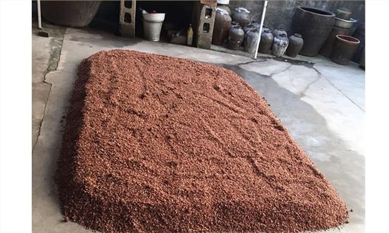 農村小型燒酒設備小作坊釀造高粱酒工藝流程-高粱糖化 農村小型燒酒設備小作坊釀造高粱酒工藝流程-高粱糖化
