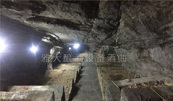 窖藏酒建設