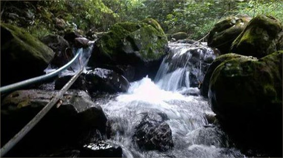 用白酒釀酒設備釀酒過程中加水屬于造假嗎? 5 用白酒釀酒設備釀酒過程中加水屬于造假嗎? 5