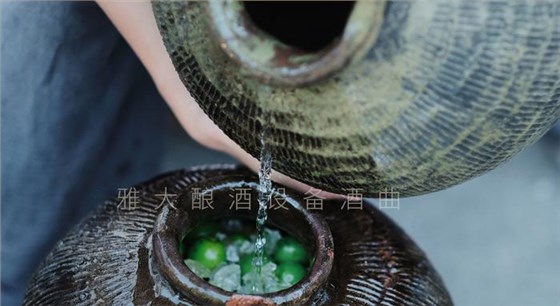 弄1套小型釀酒設備200型,回家用青梅煮酒(附青梅釀酒技術) 2 弄1套小型釀酒設備200型,回家用青梅煮酒(附青梅釀酒技術) 2