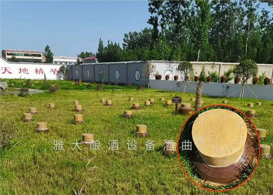 開啟“種酒”全新白酒營銷模式，打造小型酒廠釀酒設備特色純糧窖藏酒坊！ 7