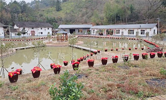 用白酒蒸餾設備做李子酒的標準教程被公布,趕緊去看看吧! 2 用白酒蒸餾設備做李子酒的標準教程被公布,趕緊去看看吧! 2
