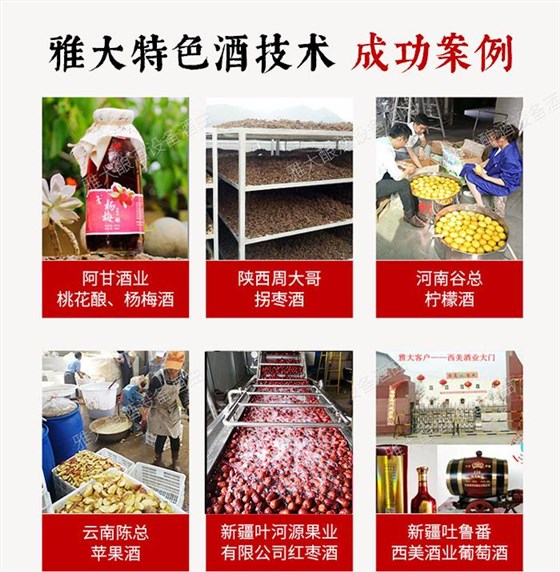 雅大特色酒技術成功案例