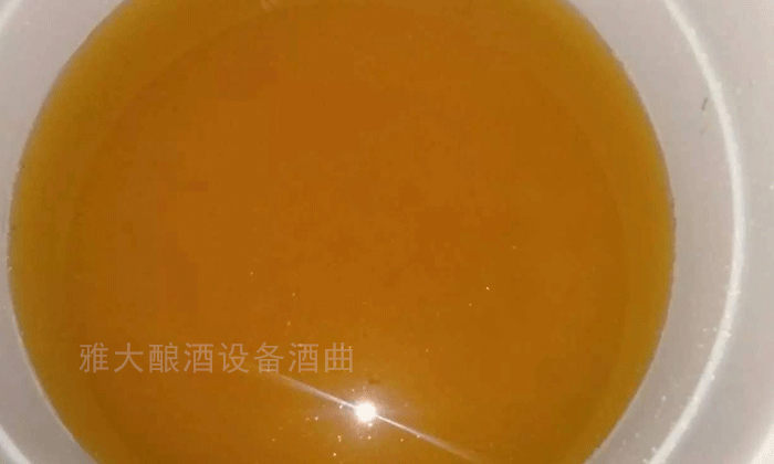 釀酒設備廠家 生料釀酒發酵