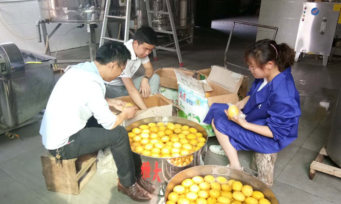 6張圖帶你親臨雅大蒸酒設備檸檬酒制作現場