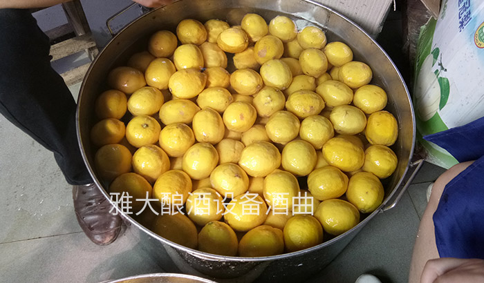 6張圖帶你親臨雅大蒸酒設備檸檬酒制作現場
