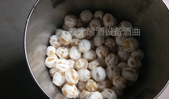 6張圖帶你親臨雅大蒸酒設備檸檬酒制作現場