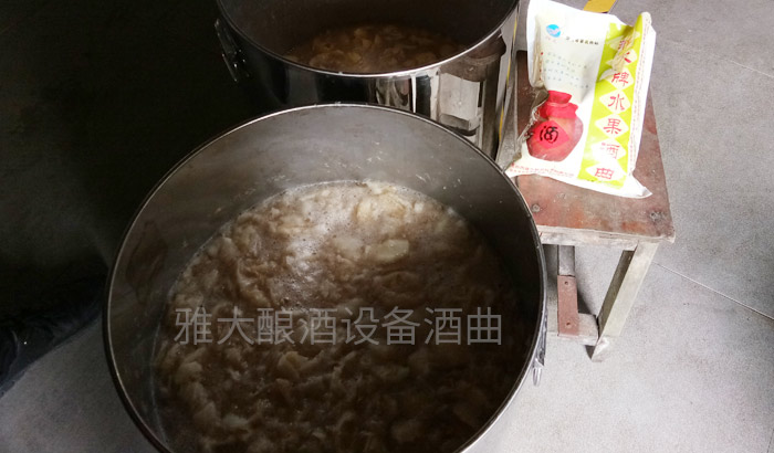 6張圖帶你親臨雅大蒸酒設備檸檬酒制作現場