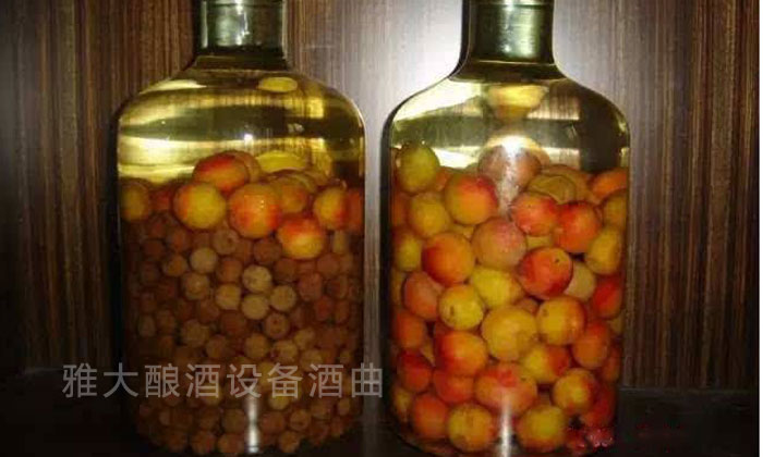 李子釀酒—雅大白酒設備