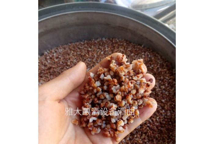 24-純糧釀酒設備-高粱開花