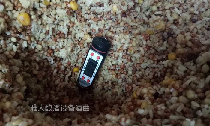 警惕!!這3點將導(dǎo)致您用小型白酒釀酒設(shè)備做的純糧酒難銷!-04-多糧釀酒-五糧釀酒 警惕!!這3點將導(dǎo)致您用小型白酒釀酒設(shè)備做的純糧酒難銷!-04-多糧釀酒-五糧釀酒
