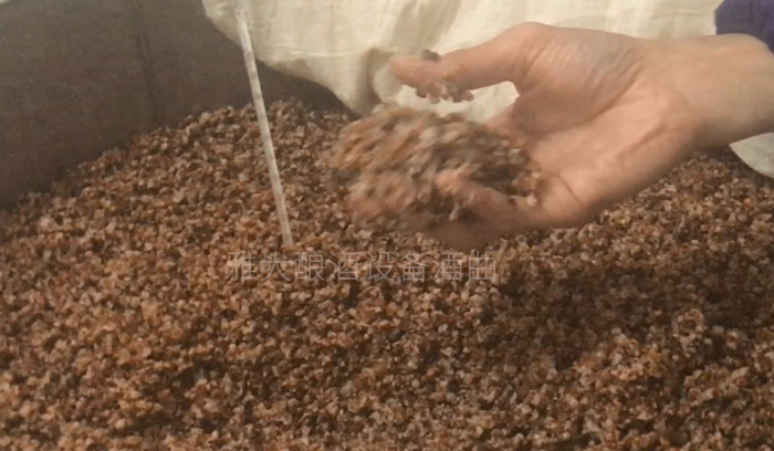 用熟料釀酒設備釀固態酒，真能通過黃水的味道判斷發酵情況？-03-高粱發酵5