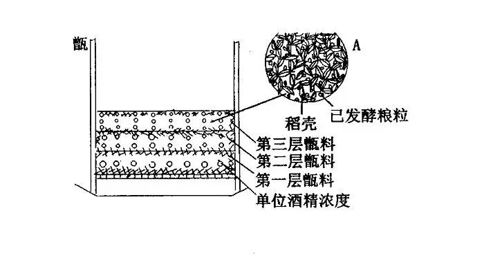 用中型釀酒設(shè)備蒸餾固態(tài)白酒，這樣蒸才能去苦增香——裝甑-03-裝甑