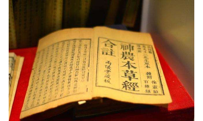 蒼耳對(duì)治療鼻炎,鼻竇炎有一定的效果 蒼耳對(duì)治療鼻炎,鼻竇炎有一定的效果