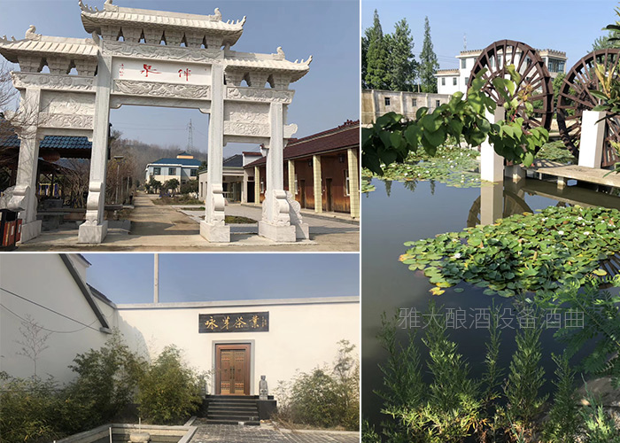▲黃總的農場——集休閑觀光修身養性于一體