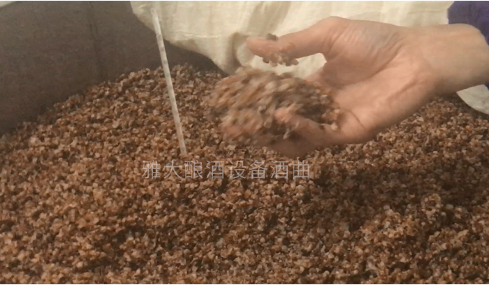 14-發酵溫度