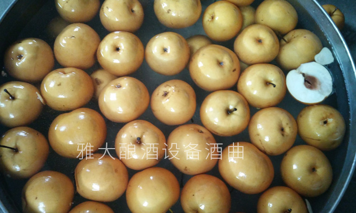 6-幾張圖帶您親臨雅大釀酒設(shè)備梨子酒實(shí)操教學(xué)現(xiàn)場-梨子釀酒方法1 6-幾張圖帶您親臨雅大釀酒設(shè)備梨子酒實(shí)操教學(xué)現(xiàn)場-梨子釀酒方法1