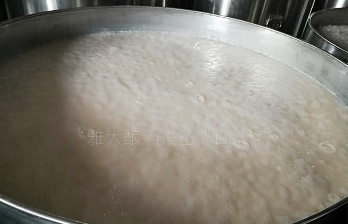 16-大米酒發酵中 16-大米酒發酵中