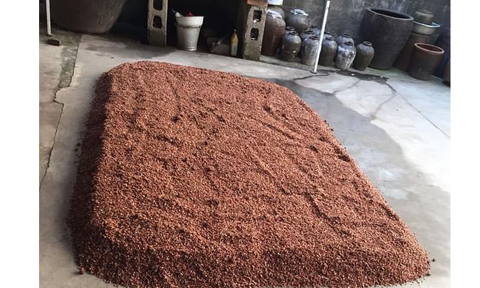 農村小型燒酒設備小作坊釀造高粱酒工藝流程-高粱糖化 農村小型燒酒設備小作坊釀造高粱酒工藝流程-高粱糖化