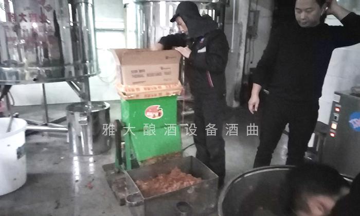 它酷似櫻桃,90后用果酒釀酒設備將它釀酒,見過的不多 4 它酷似櫻桃,90后用果酒釀酒設備將它釀酒,見過的不多 4