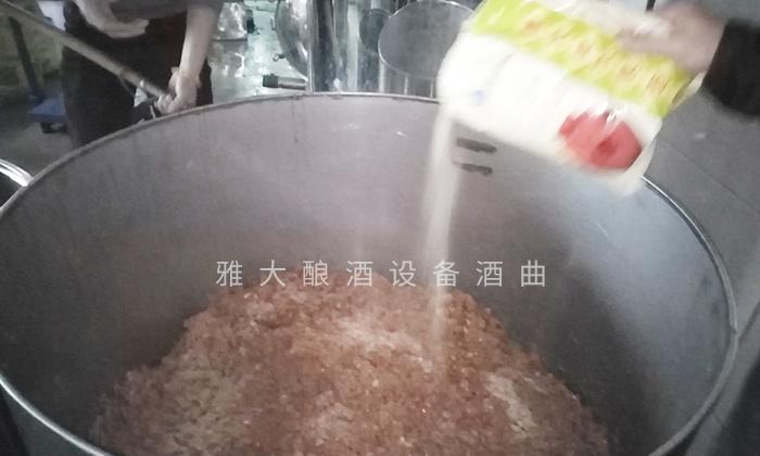 它酷似櫻桃,90后用果酒釀酒設備將它釀酒,見過的不多 5 它酷似櫻桃,90后用果酒釀酒設備將它釀酒,見過的不多 5