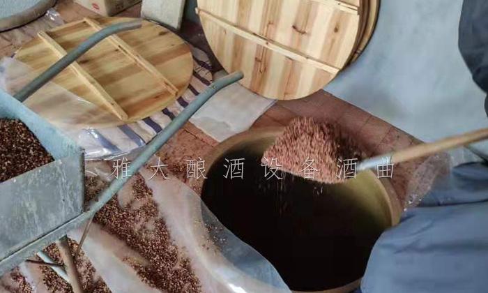 匠心釀好酒 ，帶您走進這間古法純糧釀酒設備小酒坊 1