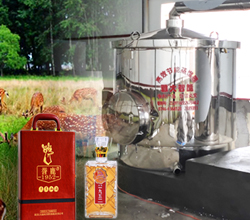 用大型釀酒設備釀鹿茸酒，走出黑龍江生態旅游發展特色之路！