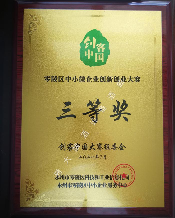 雅大榮獲2021年“創客中國”零陵區中小微企業創新創業大賽三等獎 1