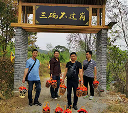 引進小型酒廠釀酒設(shè)備升級老酒坊，武功山黑糯米酒坊變身“釀酒農(nóng)莊”